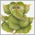 Ganapathi.gif
